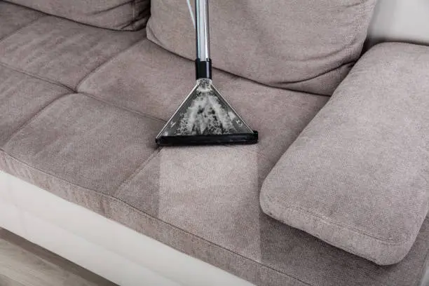 professional Carpet Cleaning